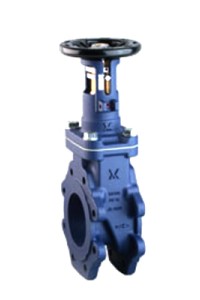 Valvola a cuneo gommato Fig.2010